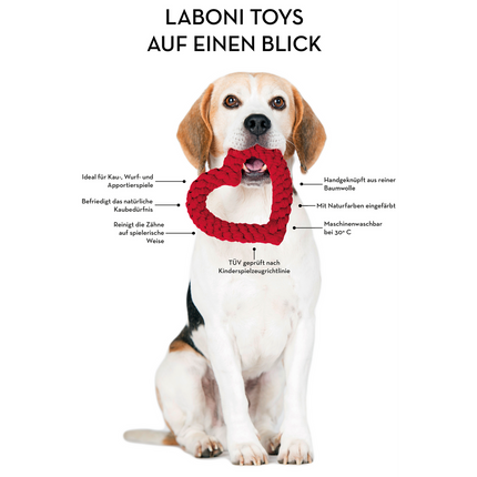 Casanova the cat - cult toy for dogs