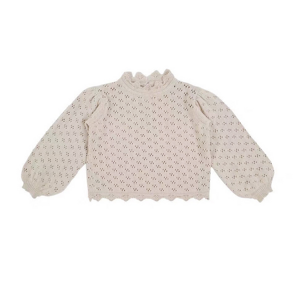 Annie & Charles® fine knit sweater