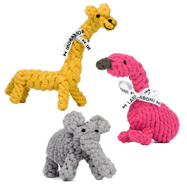 Summer Safari - toy set for dogs